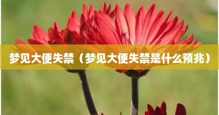 梦见大便失禁（梦见大便失禁是什么预兆）