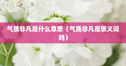 气质非凡是什么意思（气质非凡是褒义词吗）