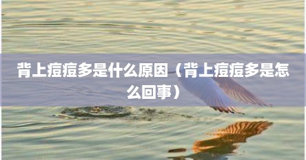 背上痘痘多是什么原因（背上痘痘多是怎么回事）
