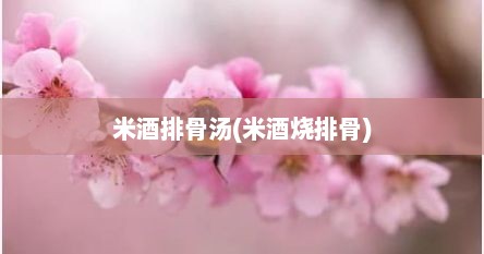 米酒排骨汤(米酒烧排骨)