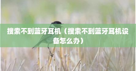 搜索不到蓝牙耳机（搜索不到蓝牙耳机设备怎么办）
