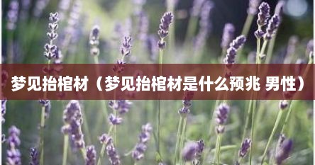 梦到抬棺材好吗（梦见抬棺材有什么预兆）