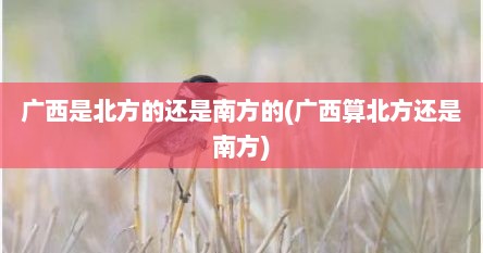 广西是北方的还是南方的(广西算北方还是南方)