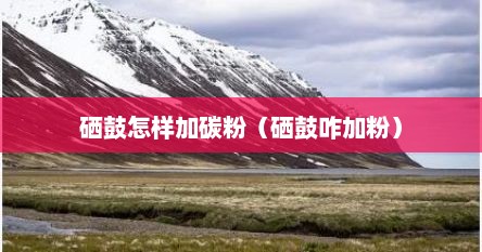 硒鼓怎样加碳粉（硒鼓咋加粉）