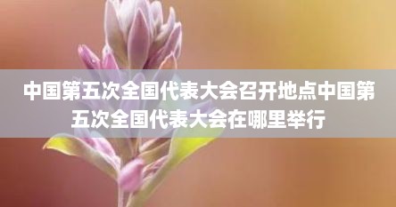 中国第五次全国代表大会召开地点中国第五次全国代表大会在哪里举行