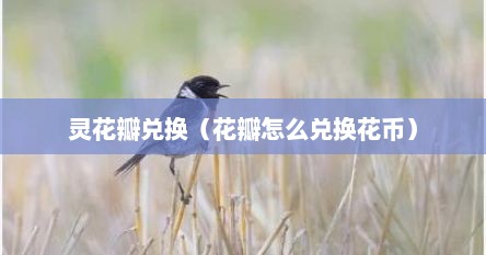 灵花瓣兑换（花瓣怎么兑换花币）