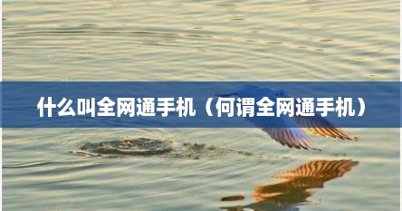 什么叫全网通手机（何谓全网通手机）