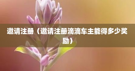 邀请滴滴车主奖励200（邀请注册滴滴司机是什么情况）