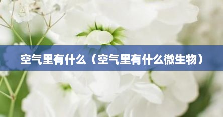 空气里有什么（空气里有什么微生物）