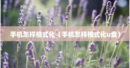 手机怎样格式化（手机怎样格式化u盘）