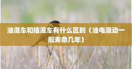 油混车和插混车有什么区别（油电混动一般寿命几年）