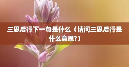 三思后行下一句是什么（请问三思后行是什么意思?）