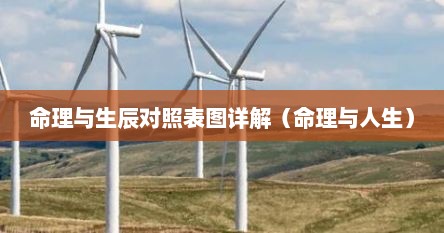 命理与生辰对照表图详解（命理与人生）