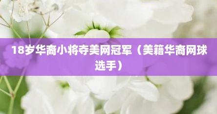 18岁华裔小蒋夺美网冠军（美籍华裔网球选手）