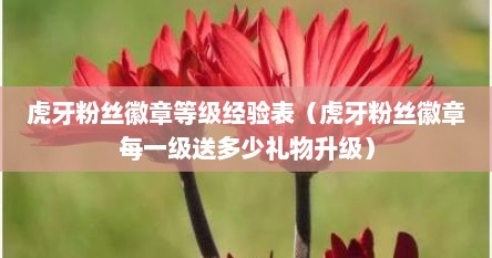 虎牙粉丝徽章等级经验表（虎牙粉丝徽章每一级送多少礼物升级）