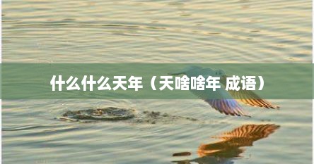 什么什么天年（天啥啥年 成语）