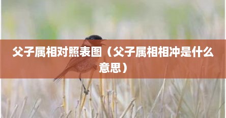 父子属相对照表图（父子属相相冲是什么意思）