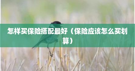 怎样买保险搭配最好（保险应该怎么买划算）