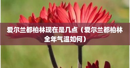 爱尔兰都柏林现在是几点（爱尔兰都柏林全年气温如何）