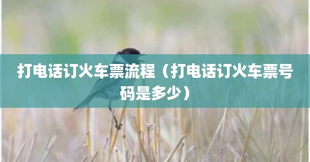 打电话订火车票（打电话订火车票怎么订票）