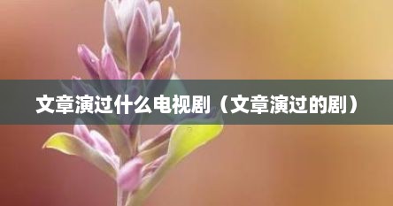 文章演过什么电视剧（文章演过的剧）
