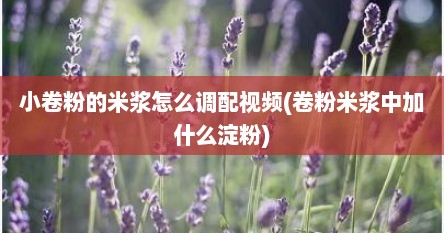 小卷粉的米浆怎么调配视频(卷粉米浆中加什么淀粉)