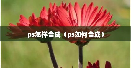 ps怎样合成（ps如何合成）
