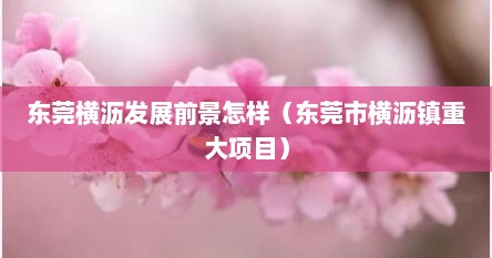 东莞横沥发展前景怎样（东莞市横沥镇重大项目）