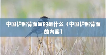 中国护照图片背后的话（中国护照背面写着什么字）