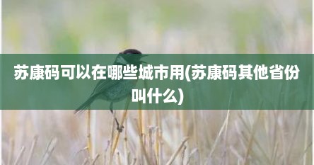 苏康码可以在哪些城市用(苏康码其他省份叫什么)
