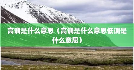 高调是什么意思（高调是什么意思低调是什么意思）