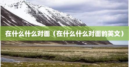 在什么什么对面（在什么什么对面的英文）