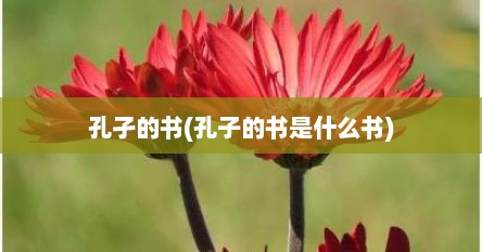 孔孑的书(孔子的书是什么书)