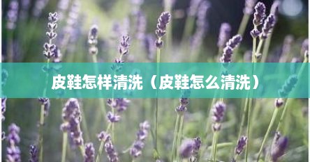 皮鞋怎样清洗（皮鞋怎么清洗）