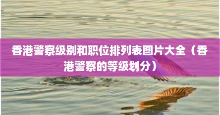 香港警察级别和职位排列表图片大全（香港警察的等级划分）