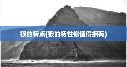 狼的特点(狼的特性你值得拥有)