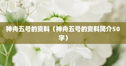 神舟五号的资料（神舟五号的资料简介50字）