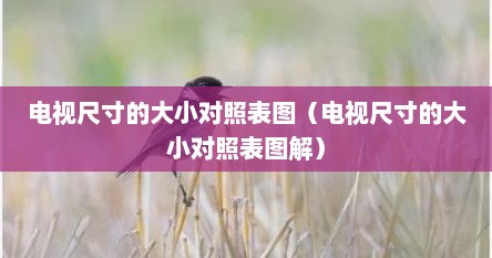 电视尺寸的大小对照表图（电视尺寸的大小对照表图解）