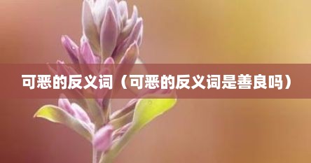 可恶的反义词语（可恶反义词是什么字）