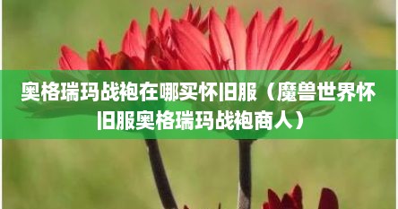 奥格瑞玛战袍在哪买怀旧服（魔兽世界怀旧服奥格瑞玛战袍商人）