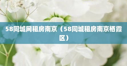 58同城网租房南京（58同城租房南京栖霞区）