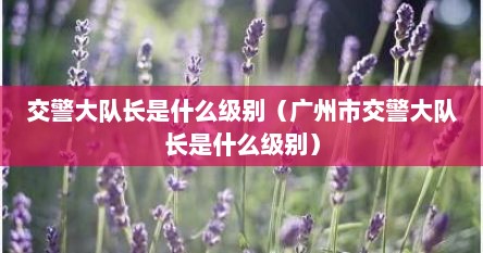 交警大队长是什么级别（广州市交警大队长是什么级别）