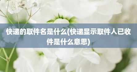 快递的取件名是什么(快递显示取件人已收件是什么意思)