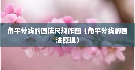 角平分线的画法尺规作图依据（角平分线尺规作图视频）