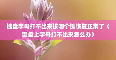键盘字母打不出来按哪个键恢复正常了（键盘上字母打不出来怎么办）