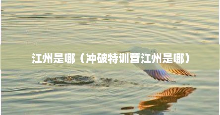 江州是哪（冲破特训营江州是哪）