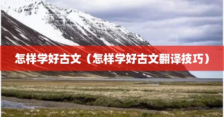 怎样学好古文（怎样学好古文翻译技巧）