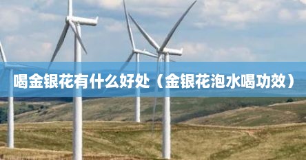 喝金银花有什么好处（金银花泡水喝功效）