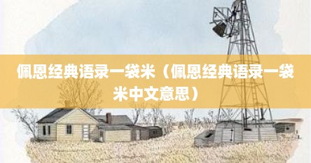 佩恩经典语录一袋米（佩恩经典语录一袋米中文意思）