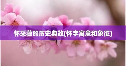 怀采薇的历史典故(怀字寓意和象征)